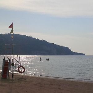 GRANELLO di Sabbia